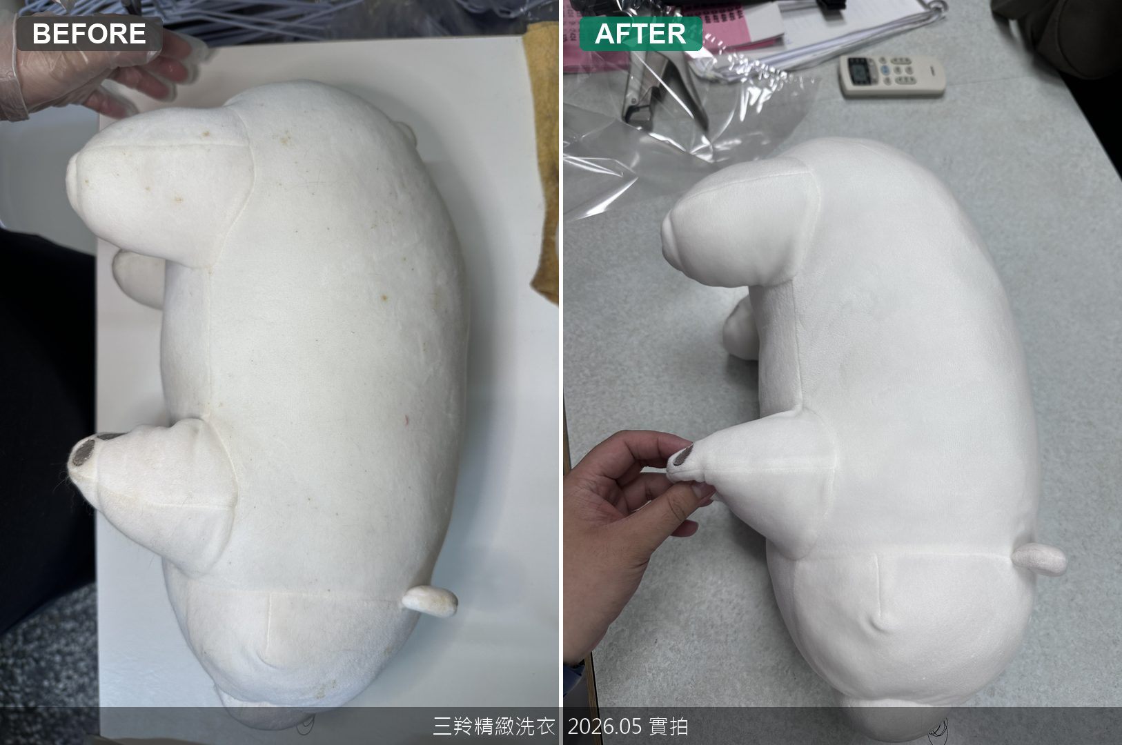 陪伴玩偶受潮發黃怎麼洗？陳年黃斑深層分解與防蟎抗菌加工，台北士林布偶清洗實錄